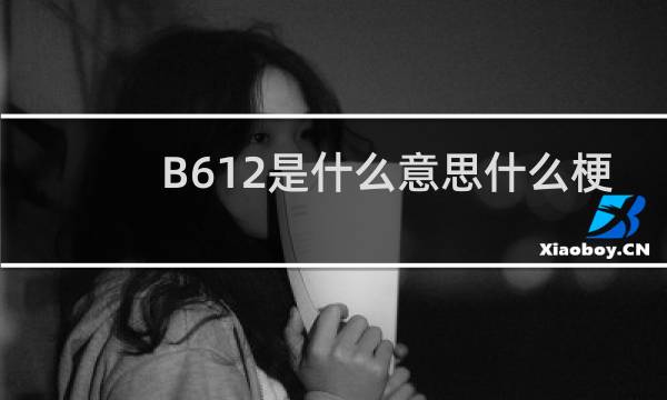 B612是什么意思什么梗