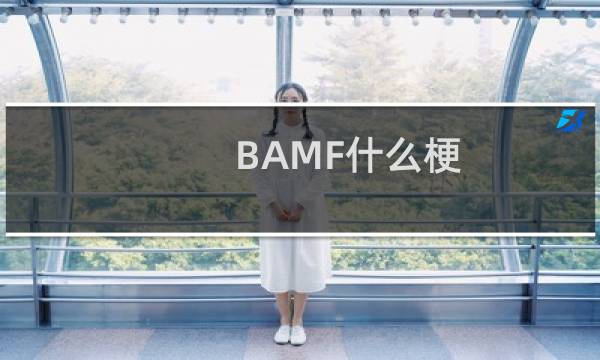 BAMF什么梗