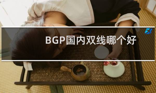BGP国内双线哪个好》-其他问题