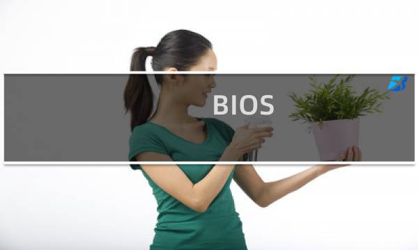 BIOS Primary Video Controller的四个选项分别是什么意思