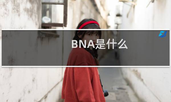 BNA是什么