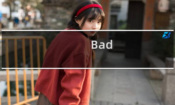 Bad Apple!!什么梗