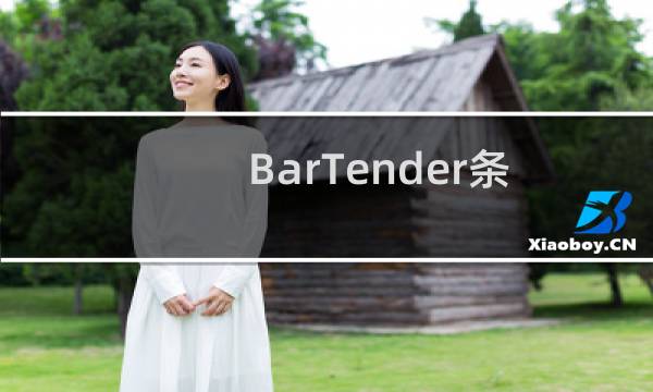 BarTender条码打印怎么编辑复杂的条码?