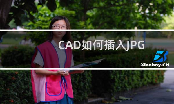 CAD如何插入JPG的图片