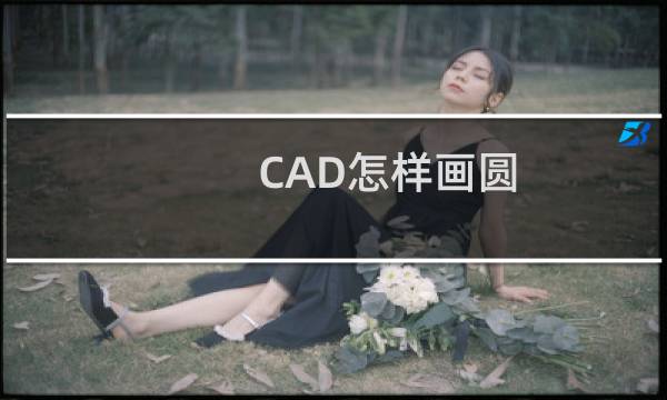 CAD怎样画圆，快捷命令是什么