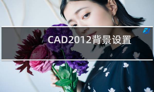 CAD2012背景设置