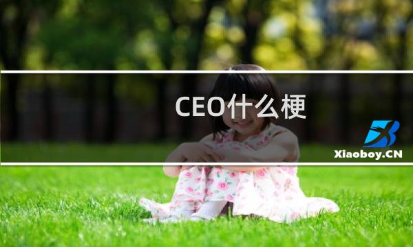 CEO什么梗