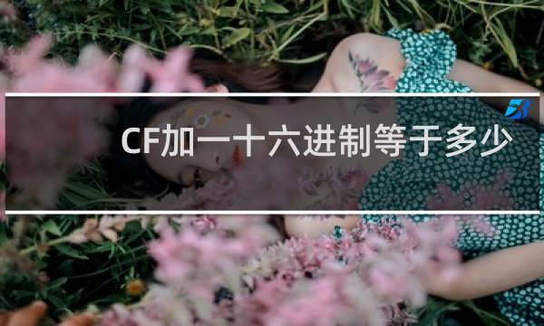 CF加一十六进制等于多少