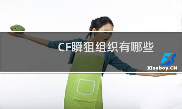 CF瞬狙组织有哪些