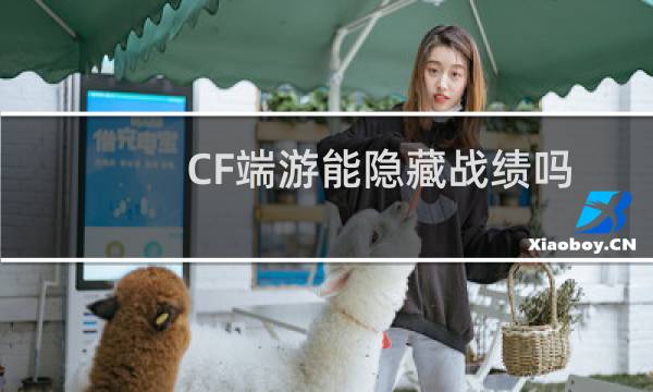 CF端游能隐藏战绩吗