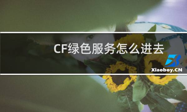 CF绿色服务怎么进去