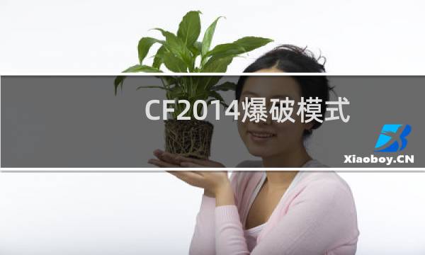 CF2014爆破模式