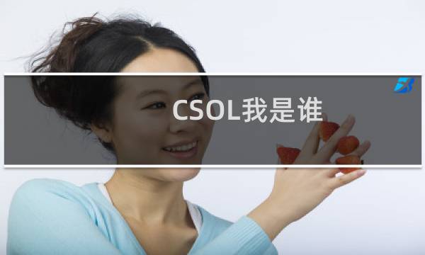 CSOL我是谁