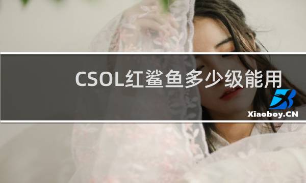 CSOL红鲨鱼多少级能用