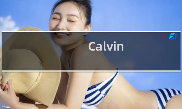 Calvin Harris什么梗