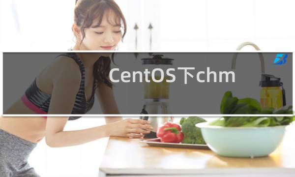 CentOS下chmod 755和4755的区别是什么?