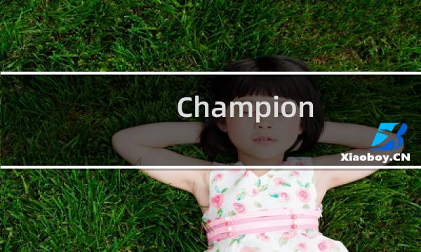 Champion 冠军攻略