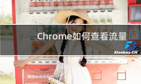 Chrome如何查看流量