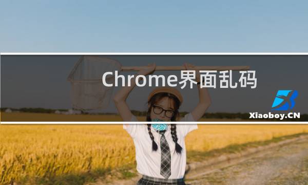 Chrome界面乱码