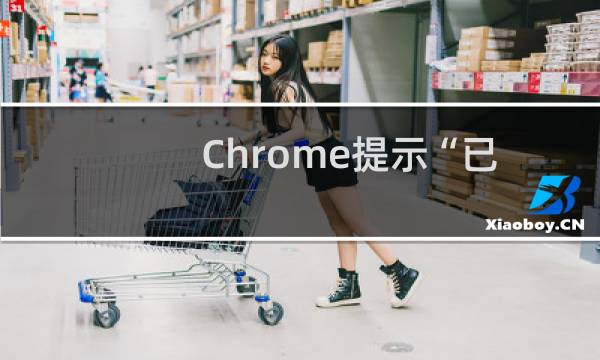 Chrome提示“已禁止在此网页上运行flash”如何解决？