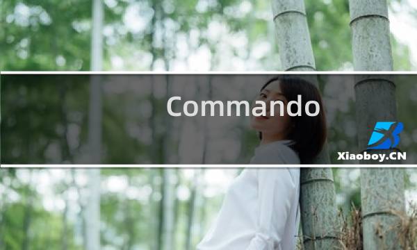 Commando Mission攻略