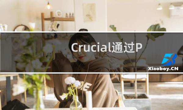 Crucial通过PoPVideo进入iOS配件市场