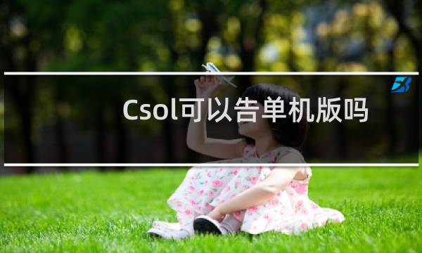 Csol可以告单机版吗