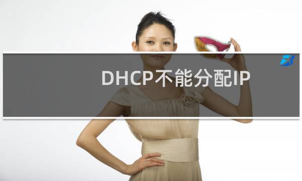 DHCP不能分配IP地址怎么办? 1