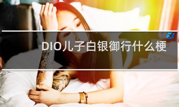 DIO儿子白银御行什么梗