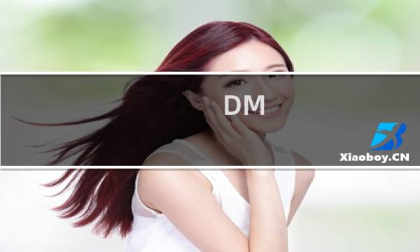 DM 9.57 硬盘分区工具图文教程(中文注释/含低格)