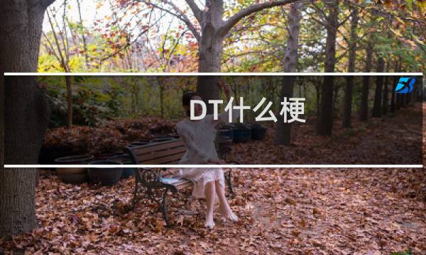 DT什么梗