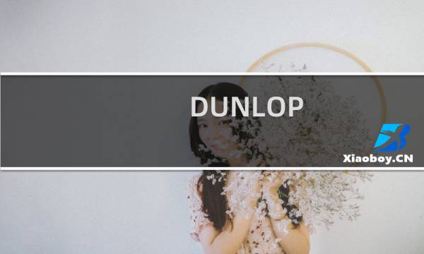 DUNLOP(GOLF品牌的中文名是什么)