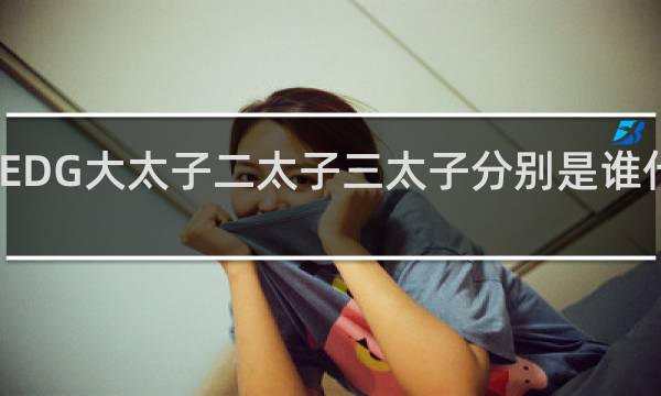 EDG大太子二太子三太子分别是谁什么梗