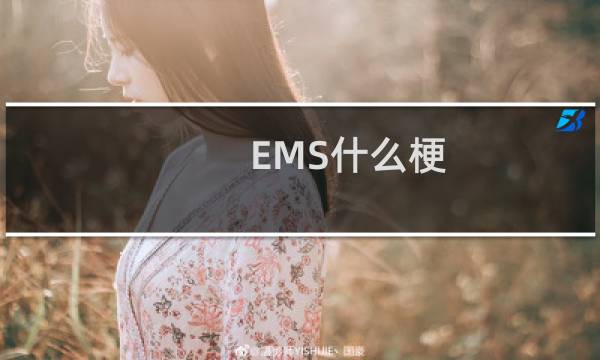 EMS什么梗