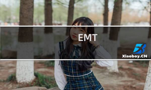 EMT(用语)什么梗