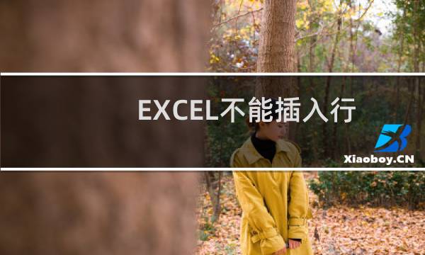 EXCEL不能插入行怎么解决？