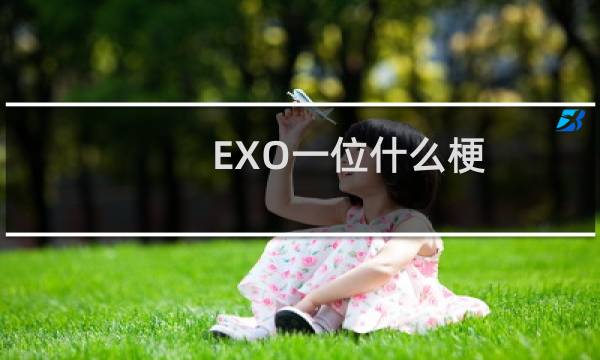 EXO一位什么梗