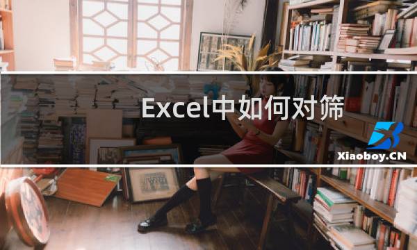 Excel中如何对筛选结果自动求和