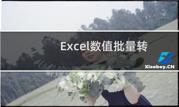 Excel数值批量转换文本格式（excel数字转换成文本）