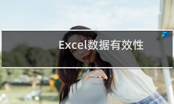 Excel数据有效性