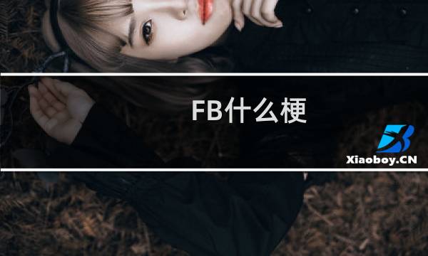FB什么梗