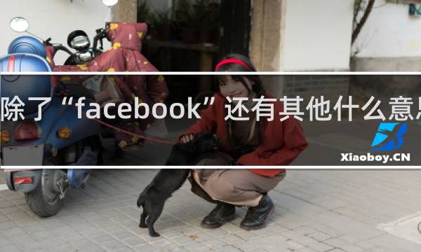 FB除了“facebook”还有其他什么意思什么梗