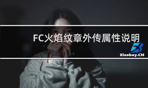 FC火焰纹章外传属性说明