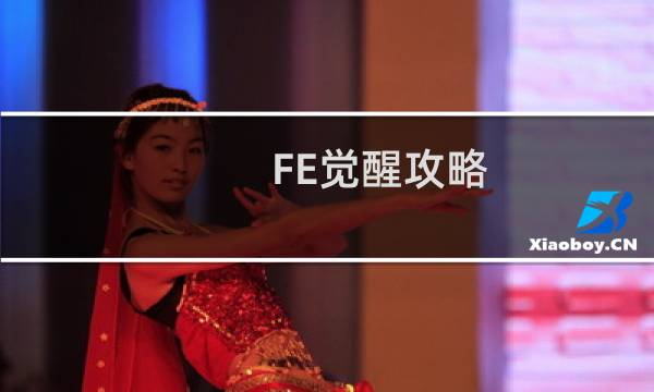 FE觉醒攻略