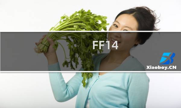 FF14 职业对比 最终幻想14 职业详解