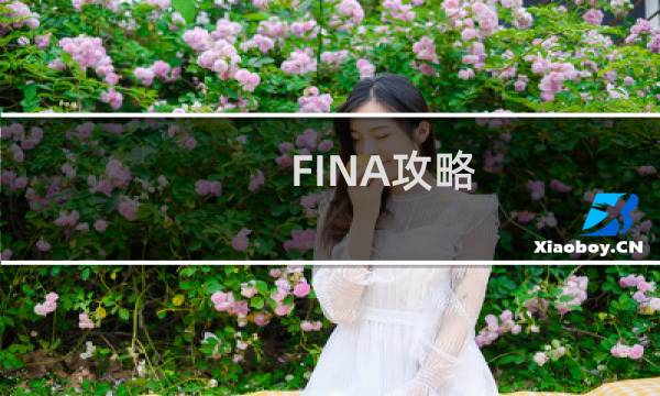 FINA攻略