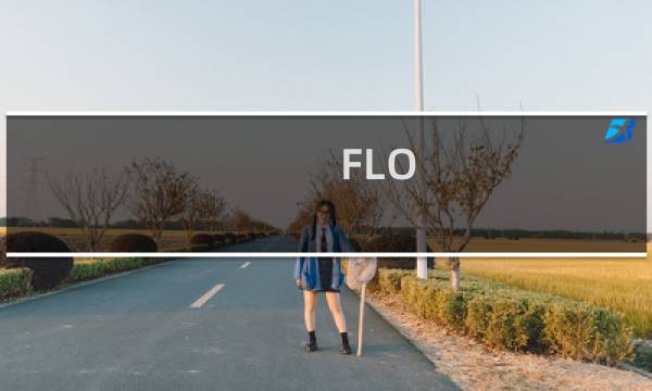 FLO 游戏攻略