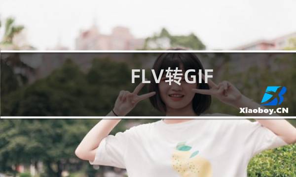 FLV转GIF，如何把FLV转成GIF