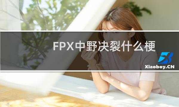 FPX中野决裂什么梗