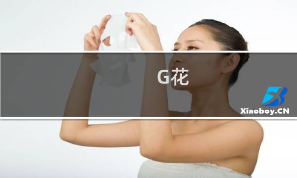 G花 攻略